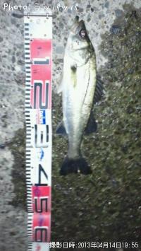 �����Х�