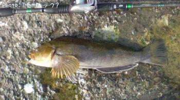 �����ʥ�