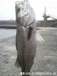 �����Х�