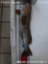 �����ʥᡦ�����Υ���Х�