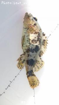 �����Υ���Х�