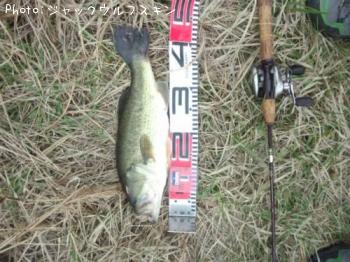 �֥�å��Х�