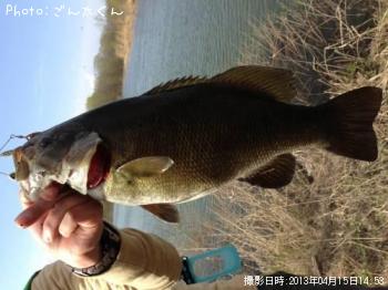 ���⡼��ޥ����Х�