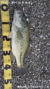 �֥�å��Х�