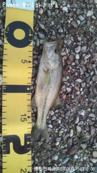 �֥�å��Х�