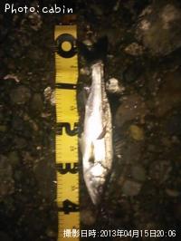 �����Х�