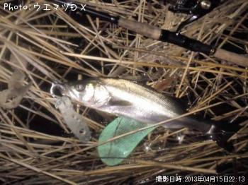 �����Х�