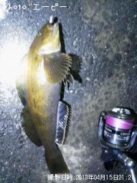 �����ʥ�