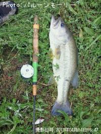 ¥Ö¥é¥Ã¥¯¥Ð¥¹