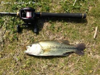 �֥�å��Х�