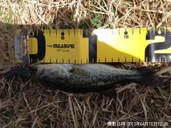 �֥�å��Х�