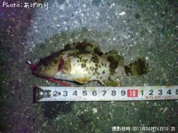 �����Υ���Х�