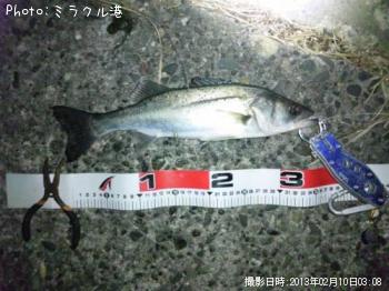 �����Х�