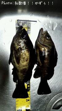 �����Υ���Х롩