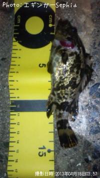 �����Υ���Х�