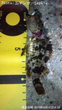 �����Υ���Х�