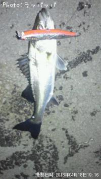 �����Х�