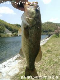 �֥�å��Х�