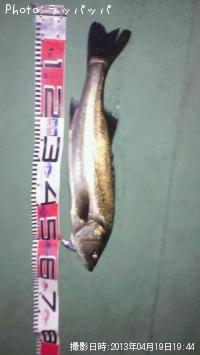 �����Х�