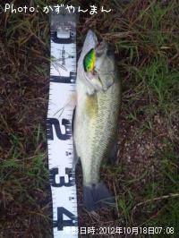 ¥Ö¥é¥Ã¥¯¥Ð¥¹