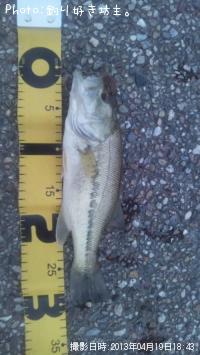 ¥Ö¥é¥Ã¥¯¥Ð¥¹