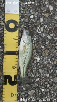 �֥�å��Х�