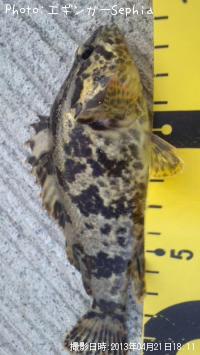 �����Υ���Х�