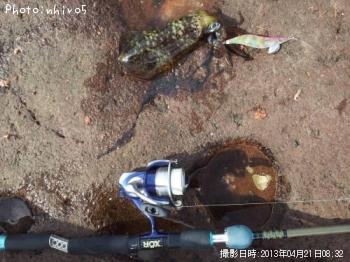 ¥¢¥ª¥ê¥¤¥«