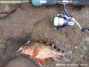 �Ǥ֥�����