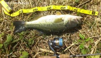 ¥Ö¥é¥Ã¥¯¥Ð¥¹