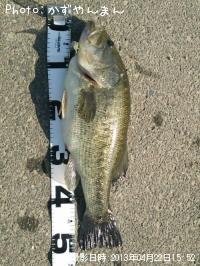 �֥�å��Х�