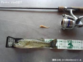 ¥Ö¥é¥Ã¥¯¥Ð¥¹