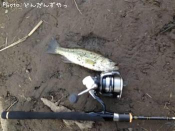 ¥Ö¥é¥Ã¥¯¥Ð¥¹