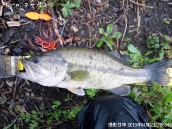 ¥Ö¥é¥Ã¥¯¥Ð¥¹