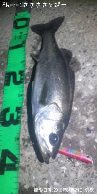 �����Х�