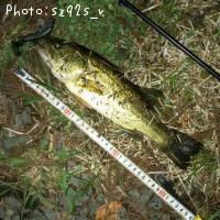 ¥Ö¥é¥Ã¥¯¥Ð¥¹