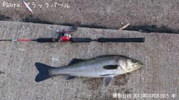 �����Х�