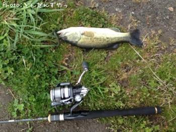 ¥Ö¥é¥Ã¥¯¥Ð¥¹