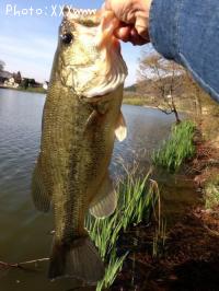 �֥�å��Х�