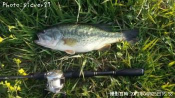 ¥Ö¥é¥Ã¥¯¥Ð¥¹