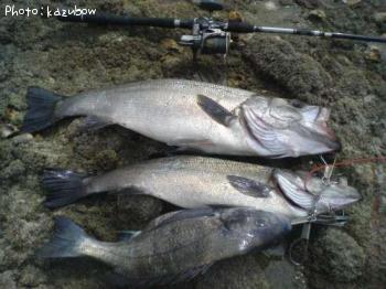 �ҥ饹����