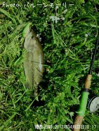 �֥�å��Х�