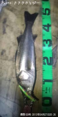 �����Х�