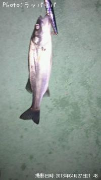 �����Х�