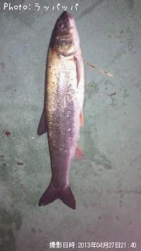 �����Х�