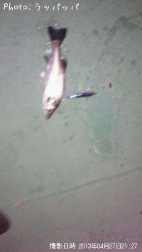 �����Х�