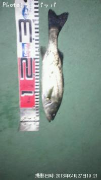 �����Х�