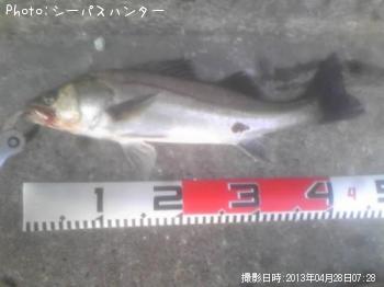 �����Х�