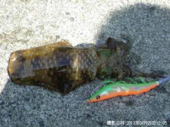 ¥¢¥ª¥ê¥¤¥«