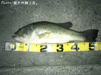 ¥Ö¥é¥Ã¥¯¥Ð¥¹